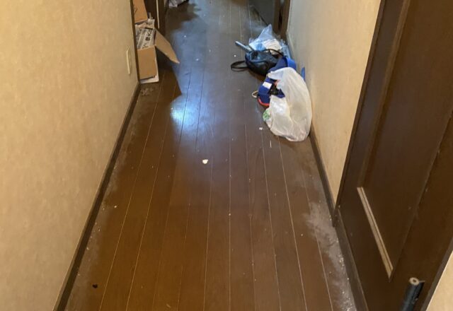 千葉市　ゴミ屋敷清掃